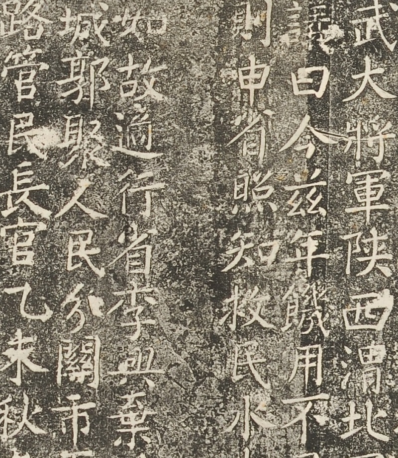 西安碑林最知名“员工”——骆天骧(图4)