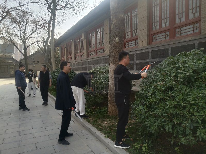 碑林博物馆组织树木春季绿化保养活动(图1)